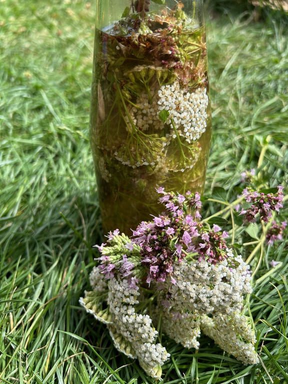 Likér z řebříčku a dobromysli