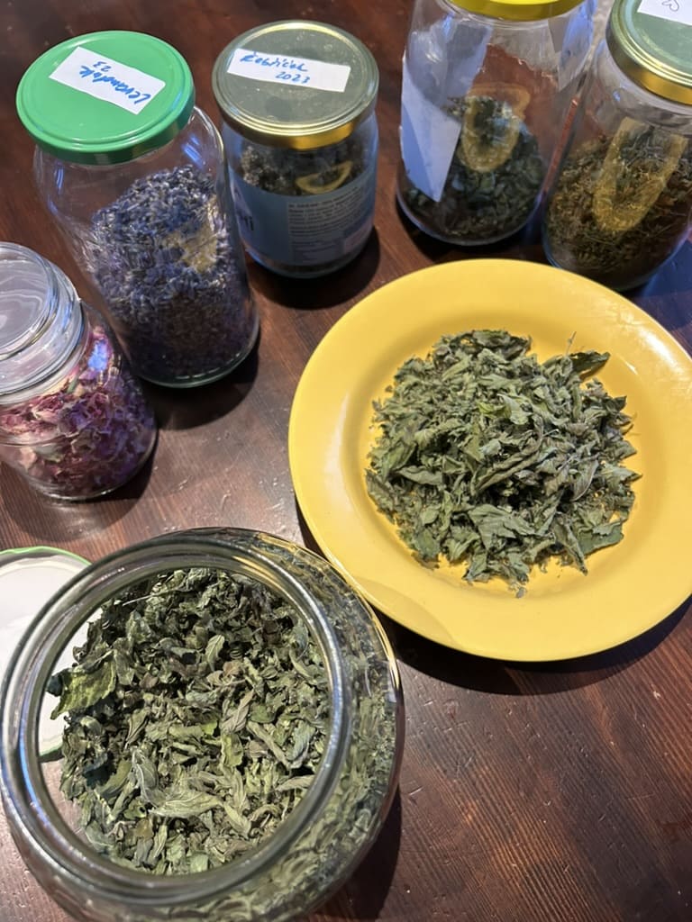 Příprava bylinek pro čajové směsi - blogový článek