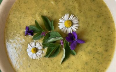 Jarní bylinky — jak po zimě dočerpat energii za pomoci zelených jarních bylin