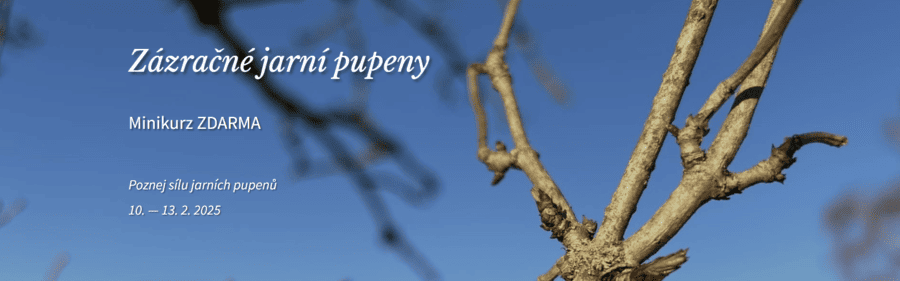 Minikurz Zázračné jarní pupeny