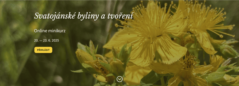 Svatojánské byliny - minikurz