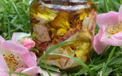 Pojďte si vyrobit voňavé a léčivé oleje z květů letních bylin