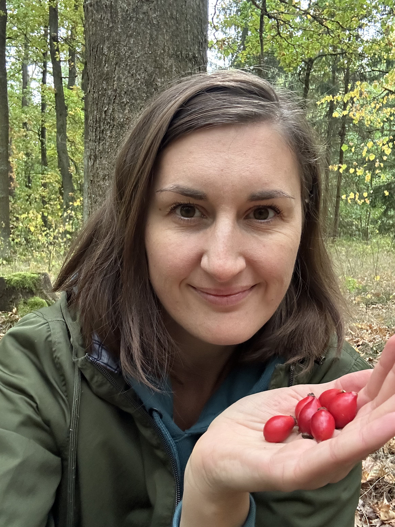 Anna Bednářová - tvoření ze šípků