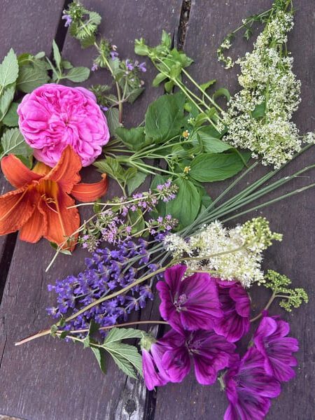 Workshop - bylinkový zpívací víkend - bylinky + květy